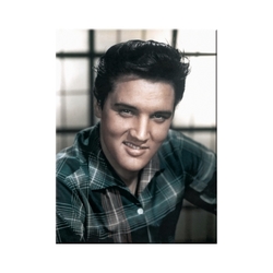 Elvis Presley - in Colour Magnet