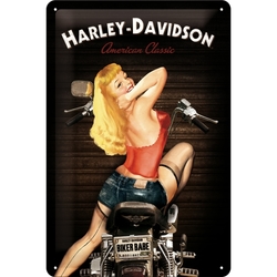 Harley-Davidson Biker Babe
